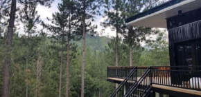 Cozy Porch Cabin with a View
